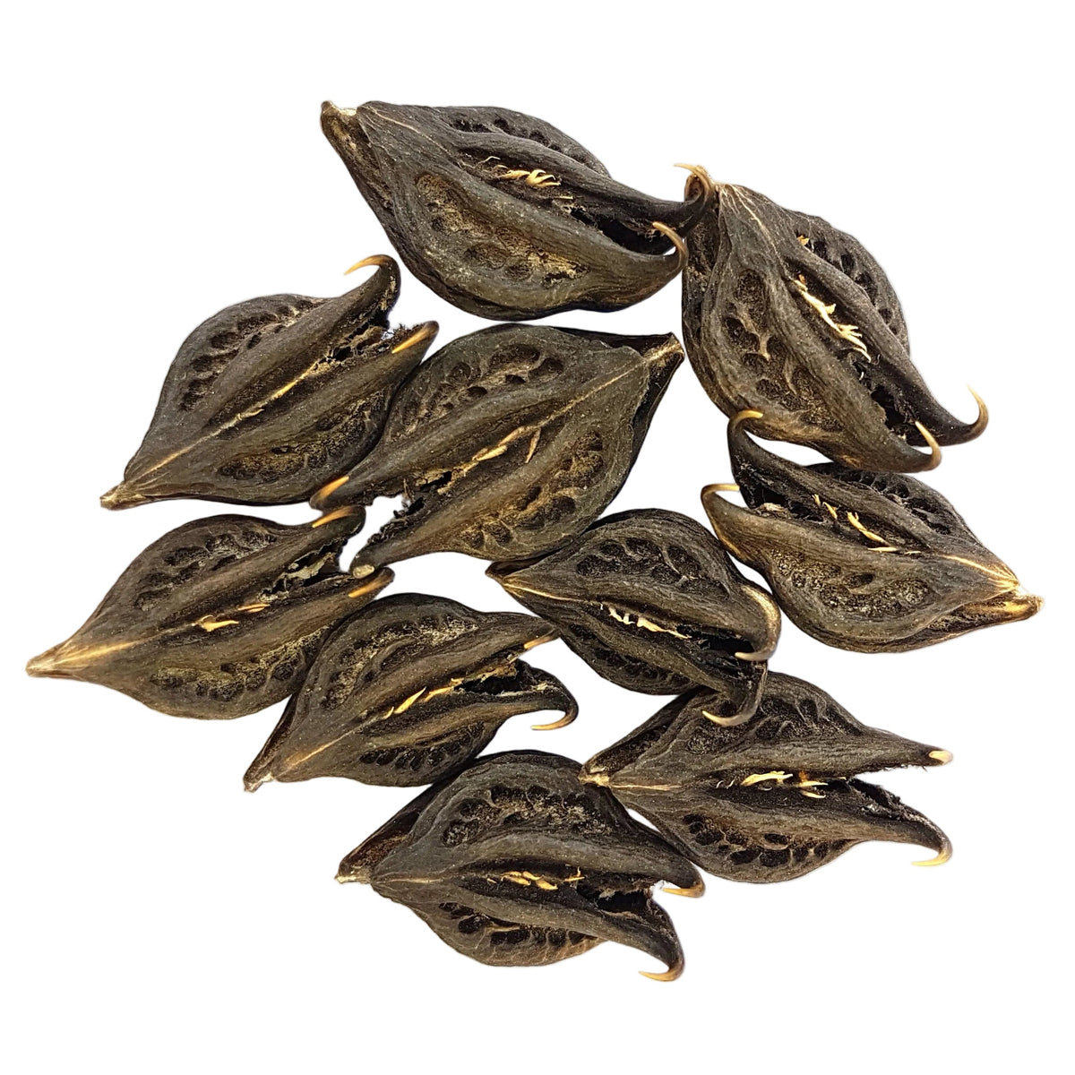 Bichoofal | Devil's Claws 1Kg