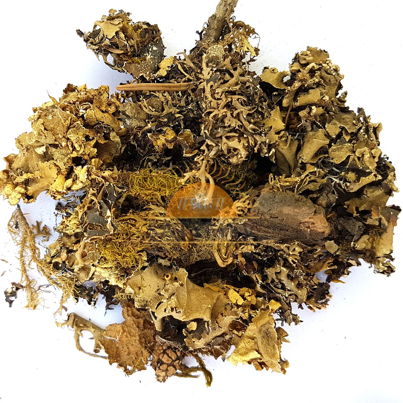 Chadeela | Stone Flower | Shila Pushpa | Chadila | Chharila 1Kg