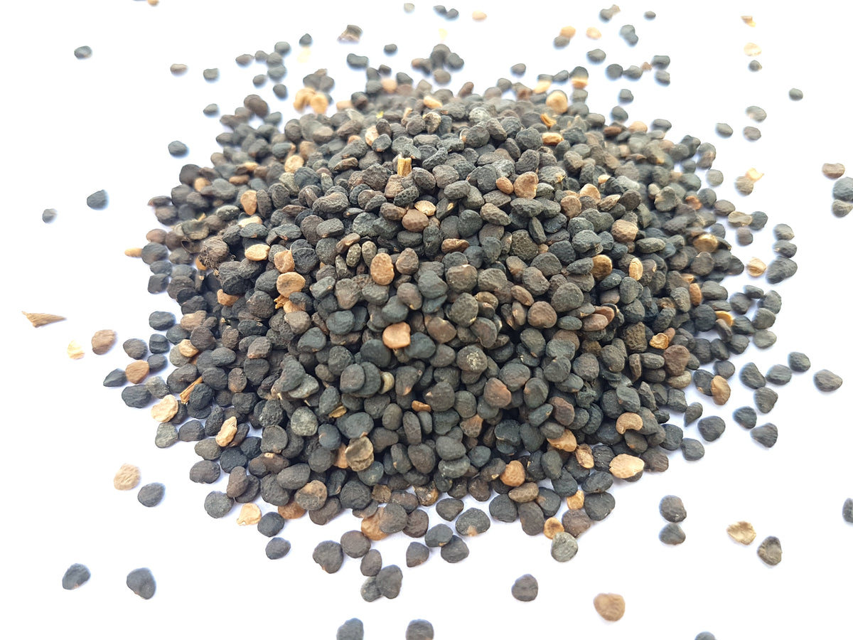 Dhatura Seeds | Satyanashi Seeds 1Kg