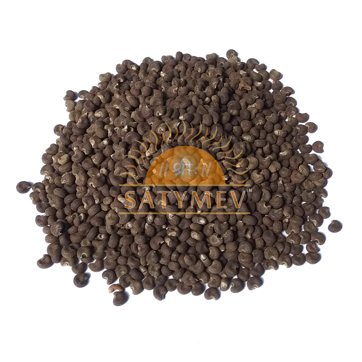 Musk Dana | Lata Kasturi | Ambrette Seeds 1kg