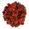 Pomegranate Flower Dried | Anaar Ke Sukhe Phool | Madulai 1kg