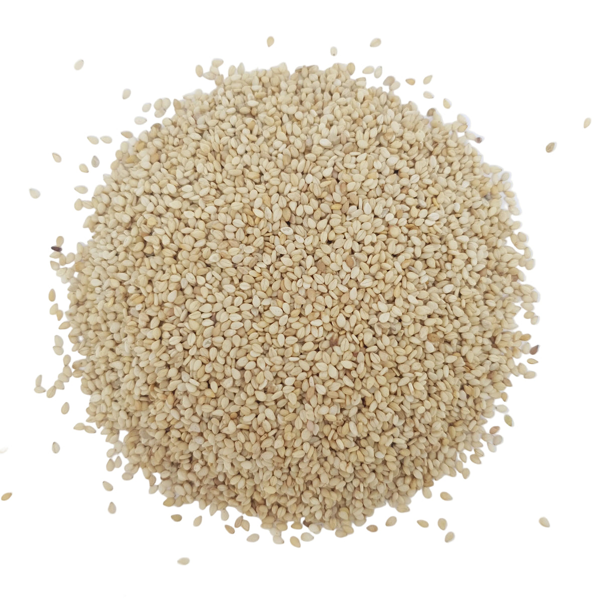 Sesame Seeds White | Safed Till 1kg