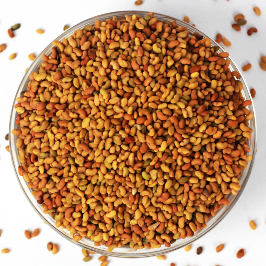 Alfalfa Seeds | Rajko 500g