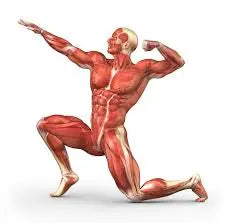 Body Building Combo Pack Muscle Building Combo Pack Power House 1Kg