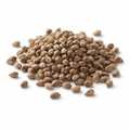 Henna Seeds 1Kg | Mehndi
